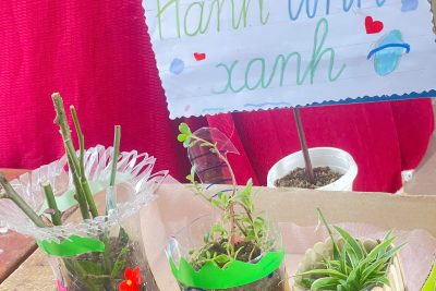 Tiết dạy STEAM của cô Ngô Thị Xuân Thảo